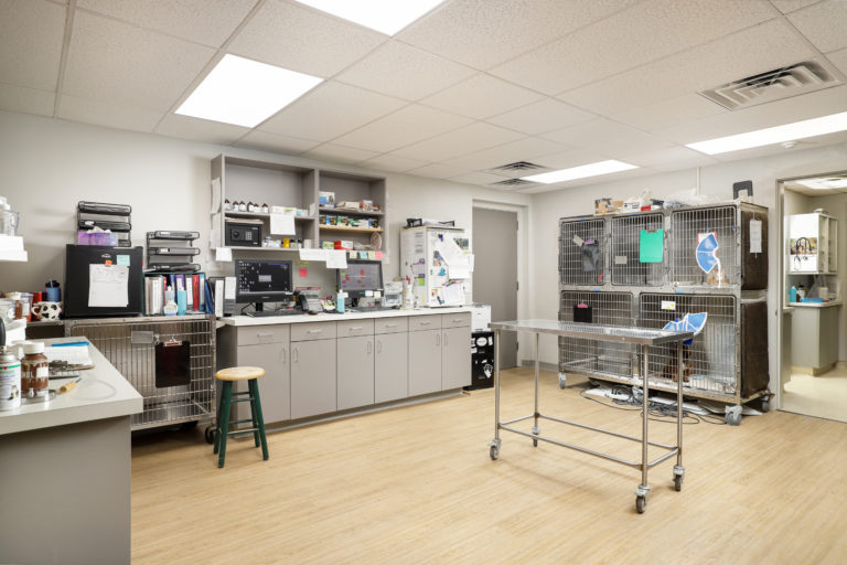 National Veterinary Association Animal Hospital Renovations Rycon