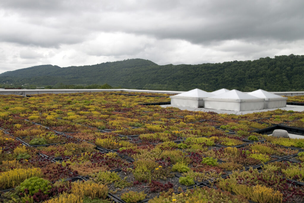 A green roof planted with colorful sedum in modular trays, with three skylights, overlooking a forested mountain ridge.