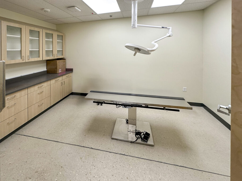 A veterinary exam room with a metal examination table, a ceiling-mounted surgical light, and wooden cabinets.