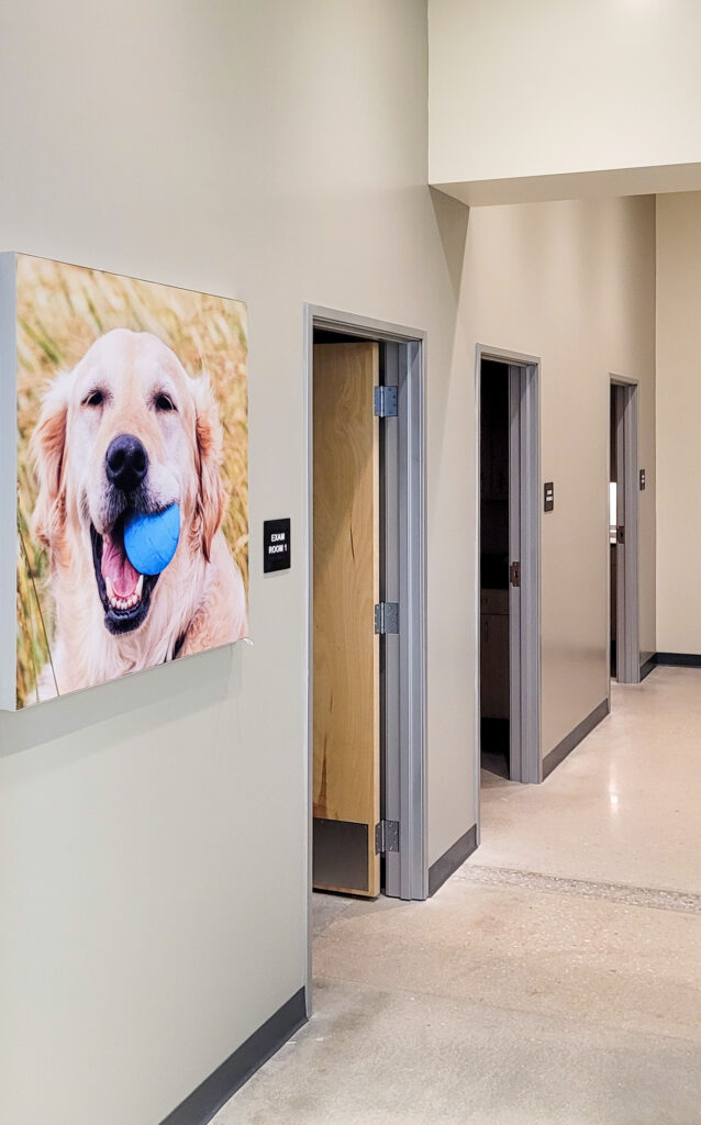 A hallway with a large photo of a dog holding a blue ball, followed by three open doorways labeled Exam Room 1, 2, and 3.