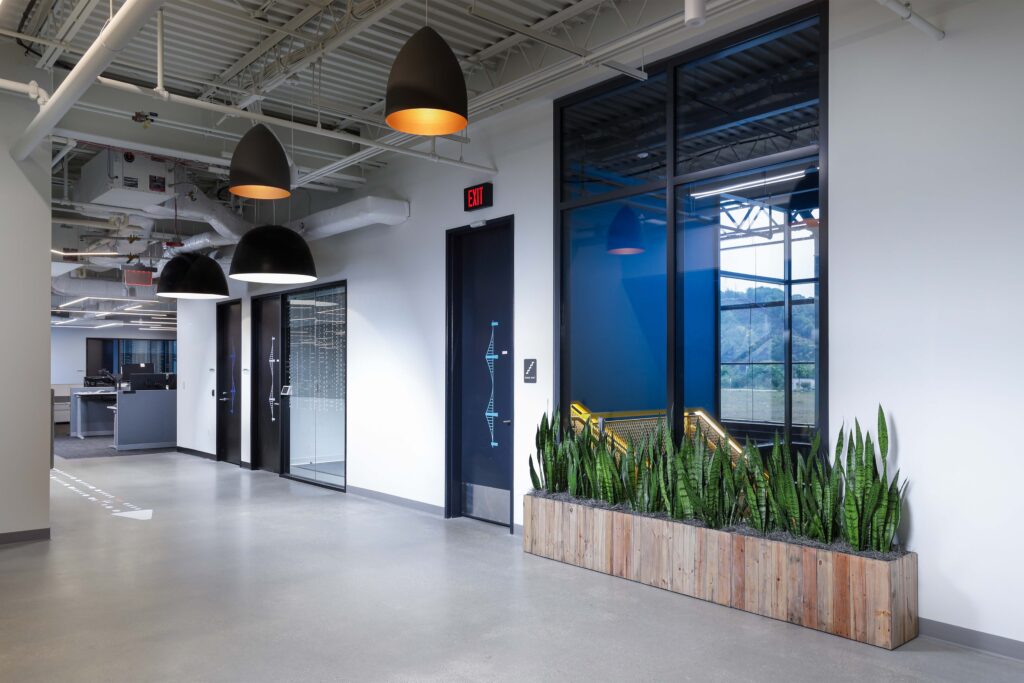 A brightly lit office hallway with black doors, large pendant lights, and a wooden planter filled with snake plants.