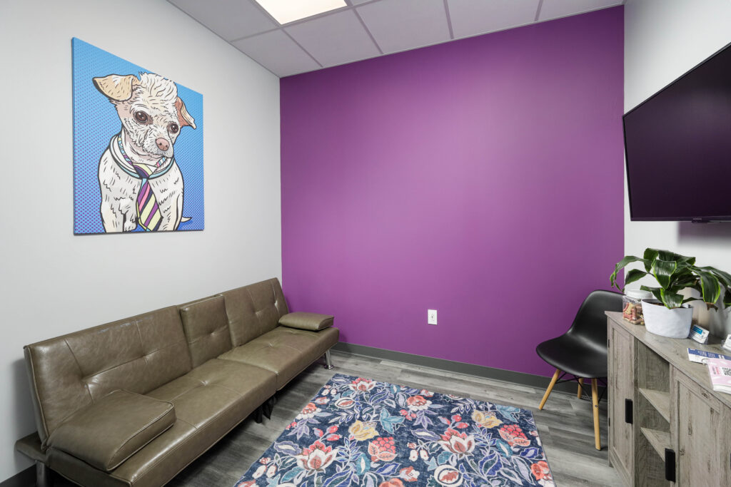A waiting room with a grey sofa, a floral rug, a purple accent wall, and pop art of a dog.
