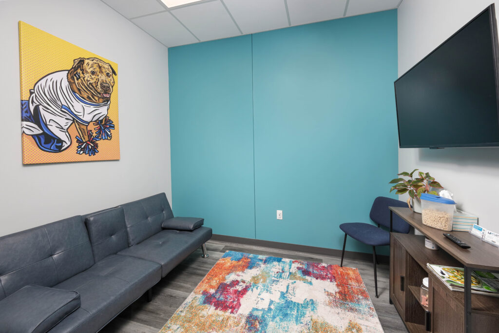 A waiting room with a dark blue sofa, a colorful abstract rug, a teal accent wall, and a mounted television above a wooden storage console.