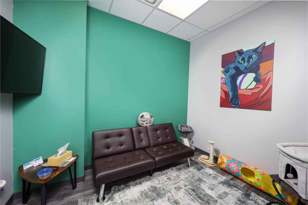A room with a brown sofa against a teal wall, featuring a pop-art cat painting, a cat tunnel, and a scratching post on a patterned rug.