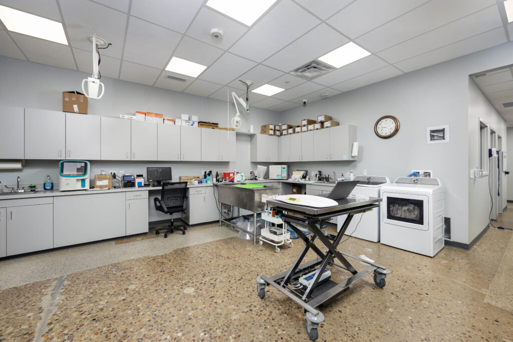 Veterinary clinic room with grey cabinetry, a stainless steel sink, an exam table with a laptop, and a washer and dryer unit.
