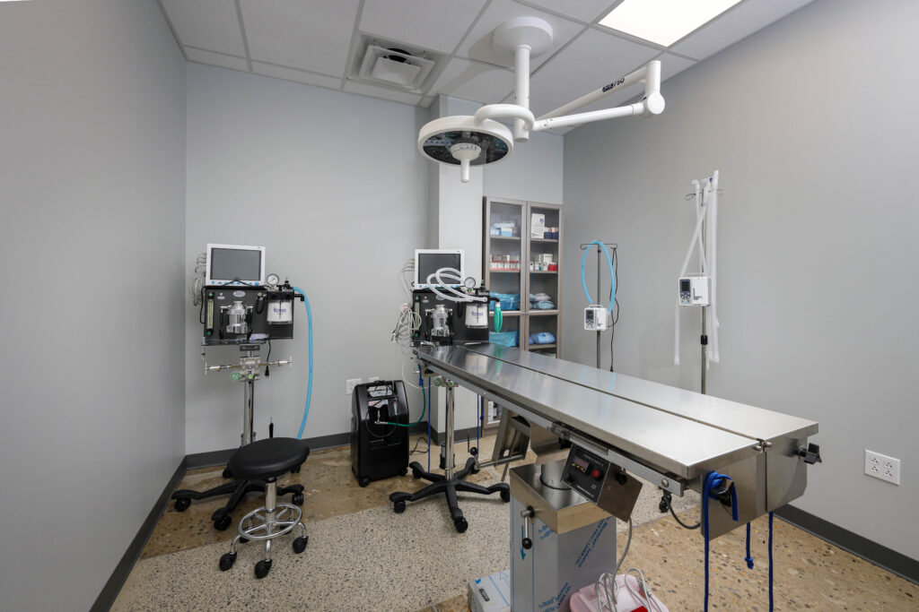 Veterinary surgery suite featuring a stainless steel operating table, anesthesia machines with monitors, and an overhead surgical light.