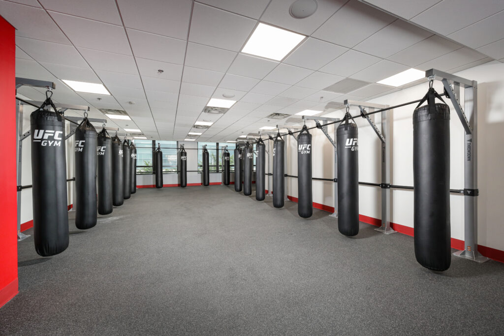 A gym interior featuring a row of black UFC-branded punching bags hanging from a metal frame.