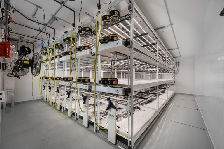 Multi-level vertical farming racks equipped with LED lighting and irrigation lines in a controlled indoor facility.
