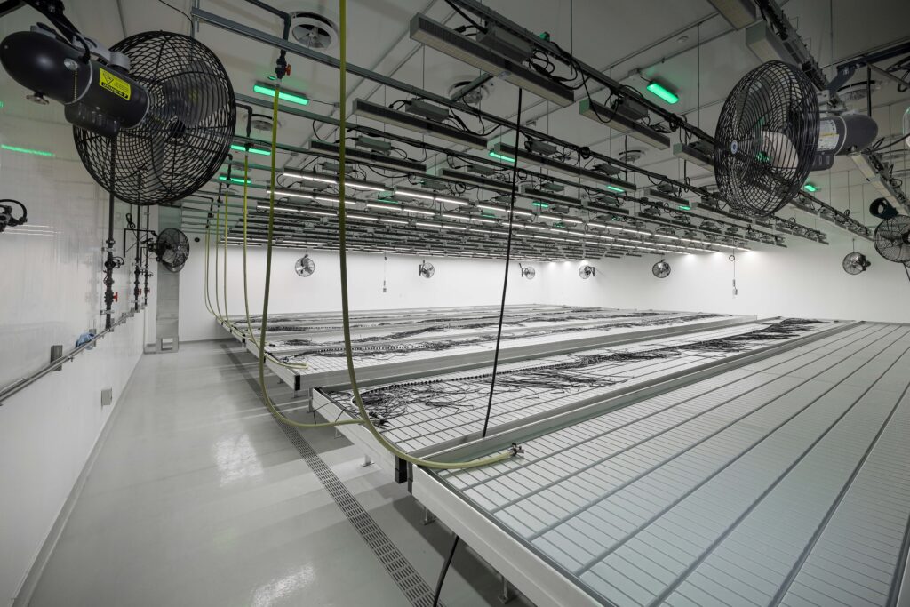 Indoor commercial hydroponic cultivation room with rows of long, white growing tables, overhead LED lighting, and wall-mounted circulation fans.