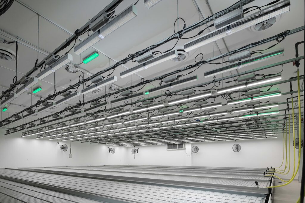 Rows of suspended LED grow lights above empty agricultural trays in a commercial indoor facility.
