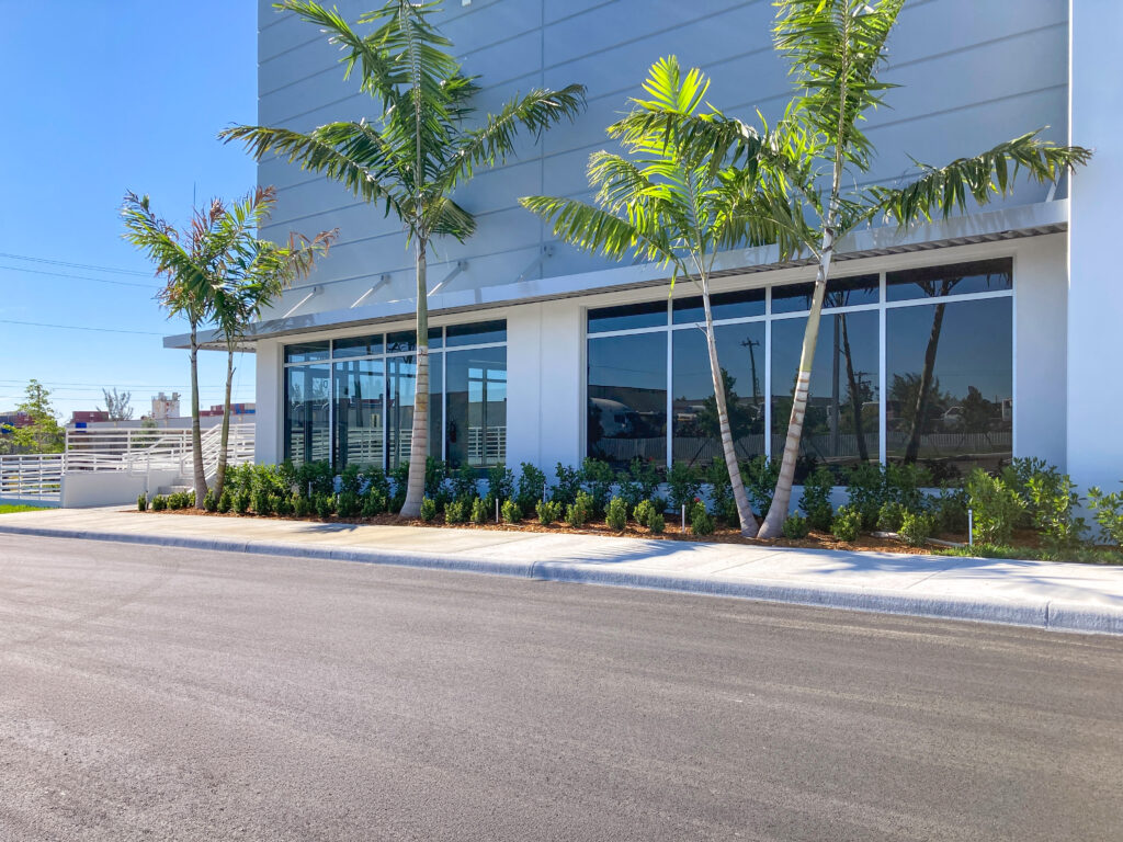 A modern building with large glass windows and palm trees planted in a garden bed along the sidewalk.