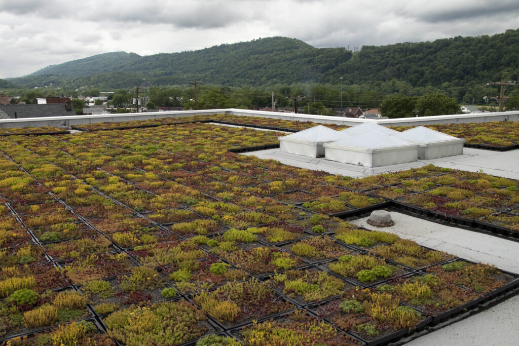 A green roof featuring a grid of modular trays planted with small succulents, with hills in the background.