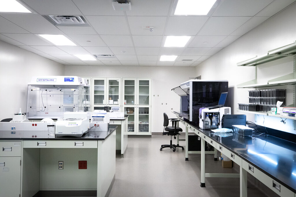 A laboratory interior with countertops, scientific equipment, a biosafety cabinet, and storage cabinets.