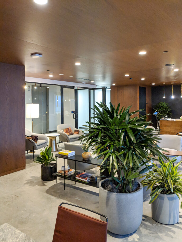 Modern lobby lounge featuring several armchairs, potted plants, a central console table with books, and a glass-walled office entrance.