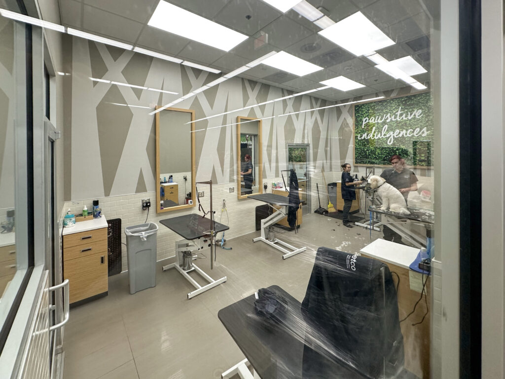 Two dog groomers working on a golden-colored dog inside a brightly lit grooming salon.