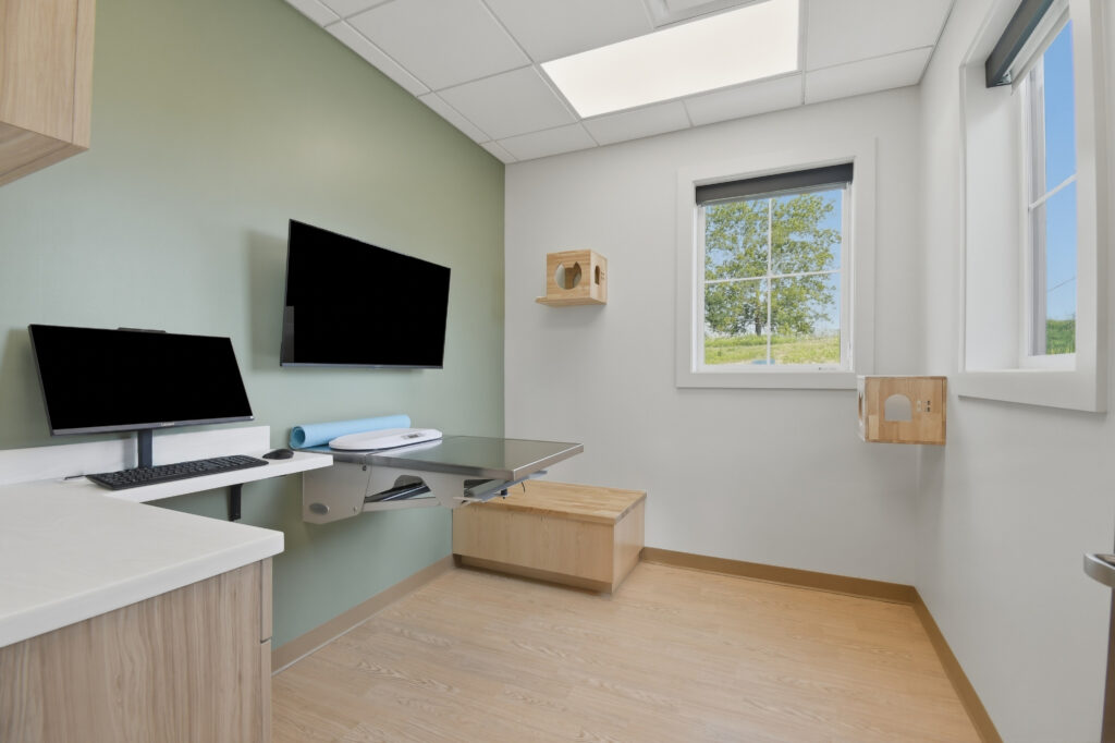 Veterinary exam room with a wall-mounted metal table, computer monitor, television, and wooden wall-mounted cat perches.