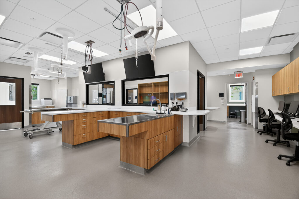 A modern veterinary clinic examination room featuring stainless steel sinks, wooden cabinetry, and hanging surgical lights.