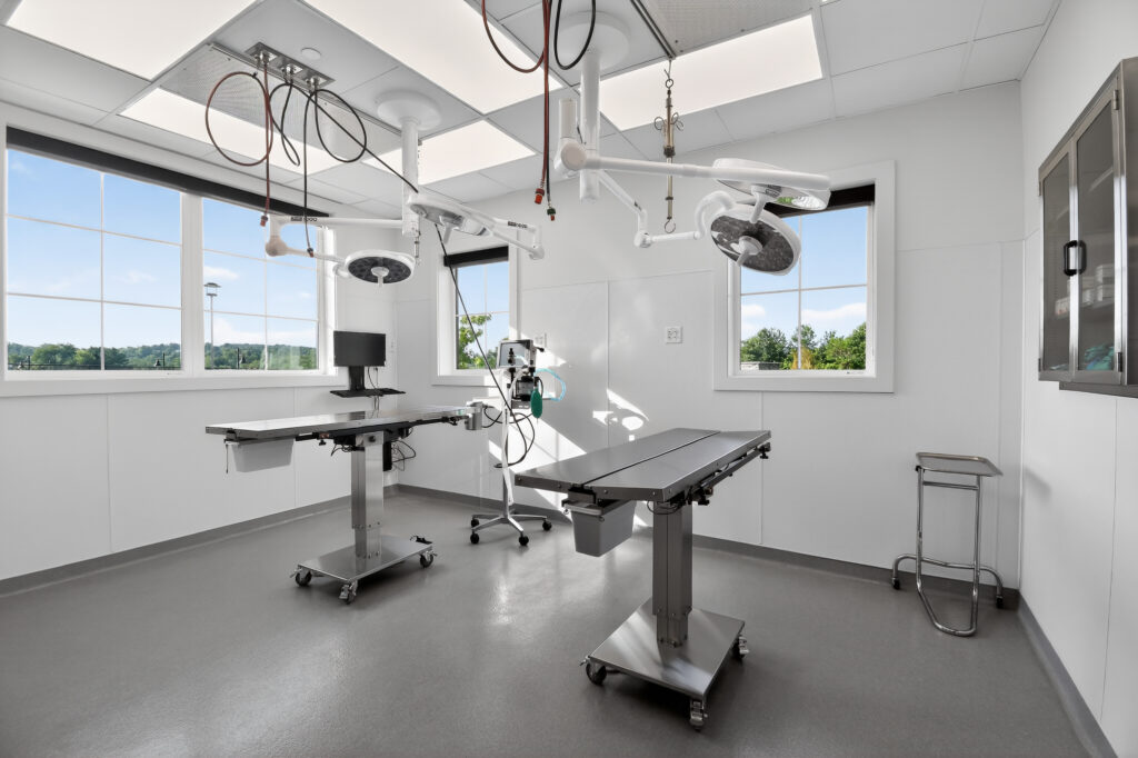 Veterinary surgery room with two stainless steel exam tables, ceiling-mounted surgical lights, and medical equipment.