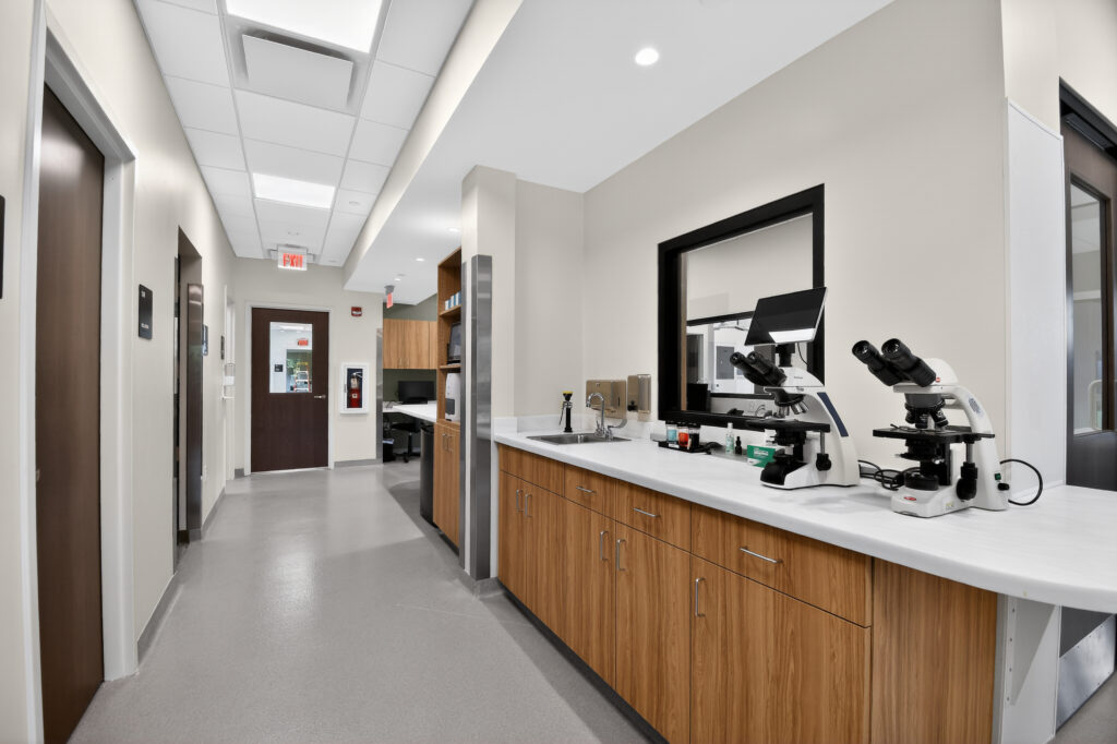 A laboratory hallway featuring a long counter with two microscopes, a sink, and wooden cabinets.