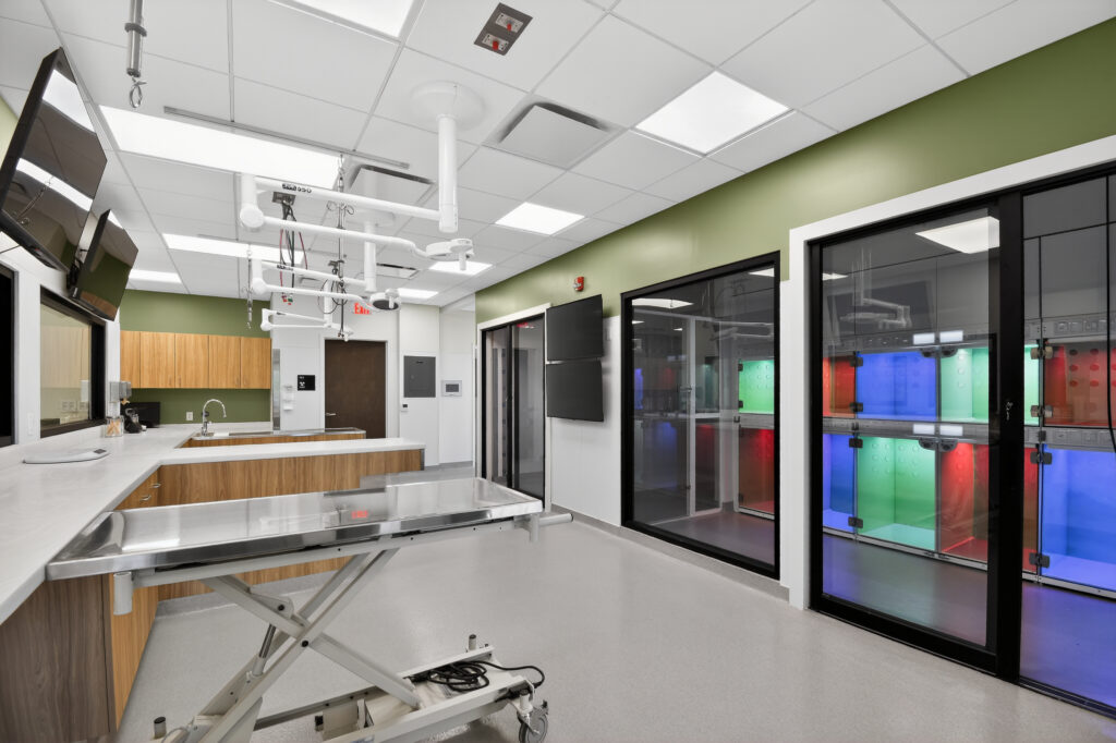 Veterinary exam room with a metal table, overhead surgical lighting, and glass-fronted animal enclosures with colorful light panels.