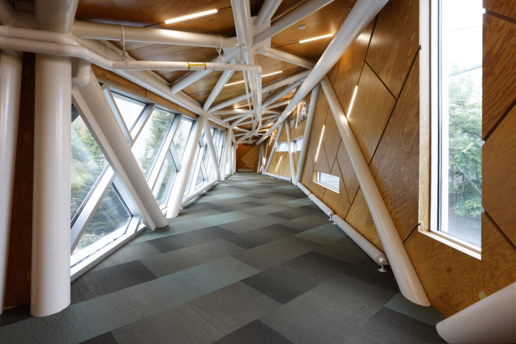An indoor pedestrian bridge featuring wooden walls, a geometric white structural frame, and large angled windows looking out onto trees.