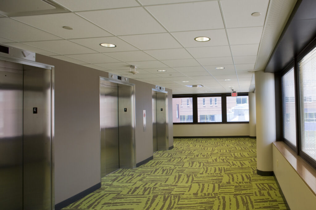 Three elevator doors in a hallway with green patterned carpet and large windows.