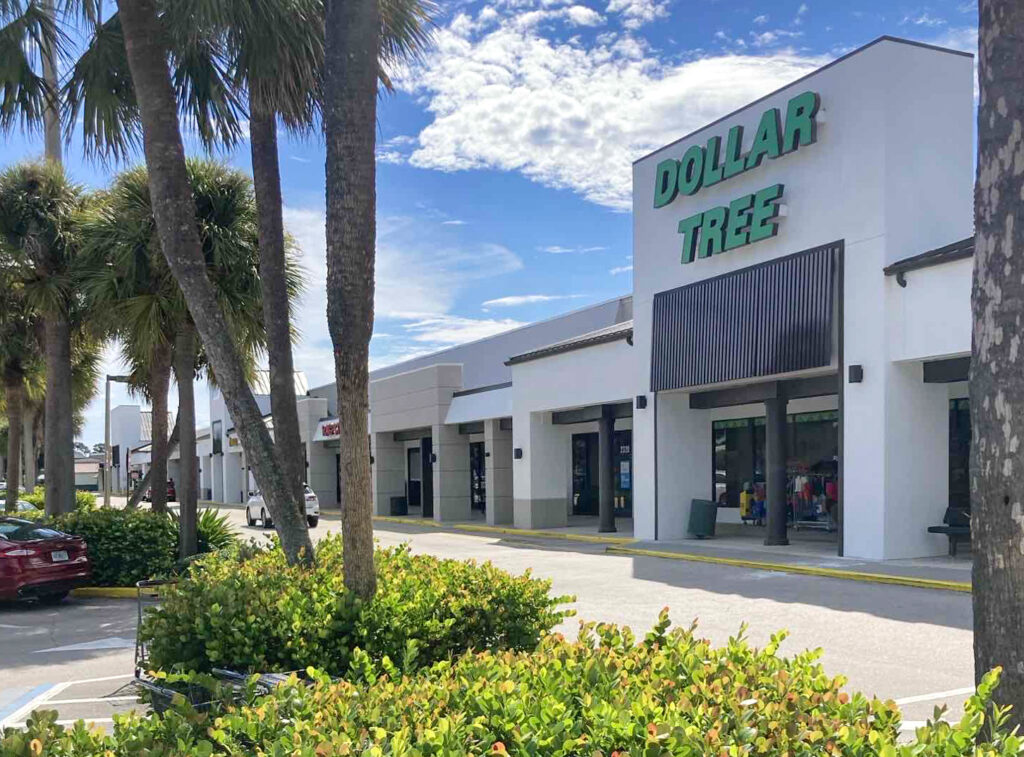 Dollar Tree store in a strip mall with palm trees in the foreground.