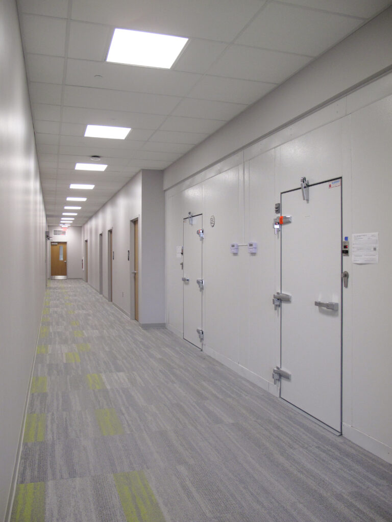 A long, brightly lit hallway with gray carpet, standard office doors on the left, and white industrial walk-in cooler doors on the right.