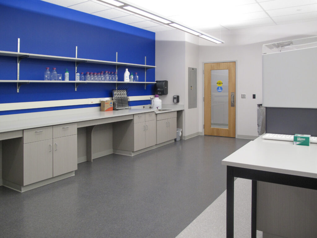 A laboratory space with gray cabinets, a blue feature wall, open shelving with glassware, and a wooden door.