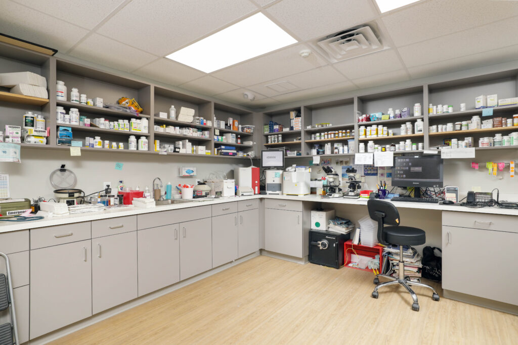A veterinary clinic laboratory featuring rows of medication on open shelves, a sink, laboratory equipment, computers, and a rolling desk chair.
