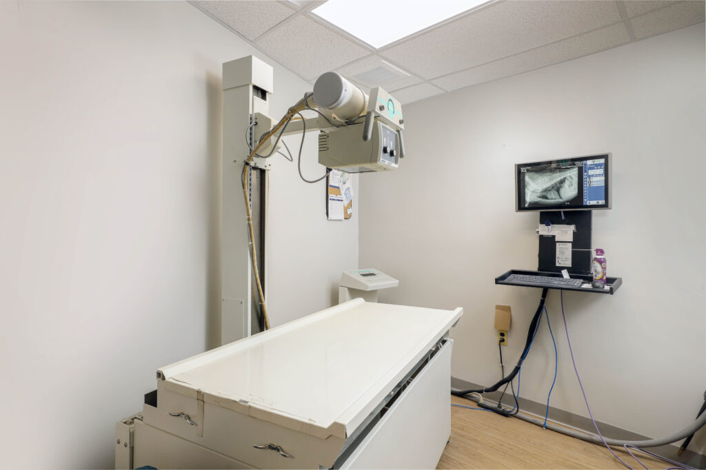 Veterinary X-ray machine with a table and a computer monitor displaying an animal radiograph.