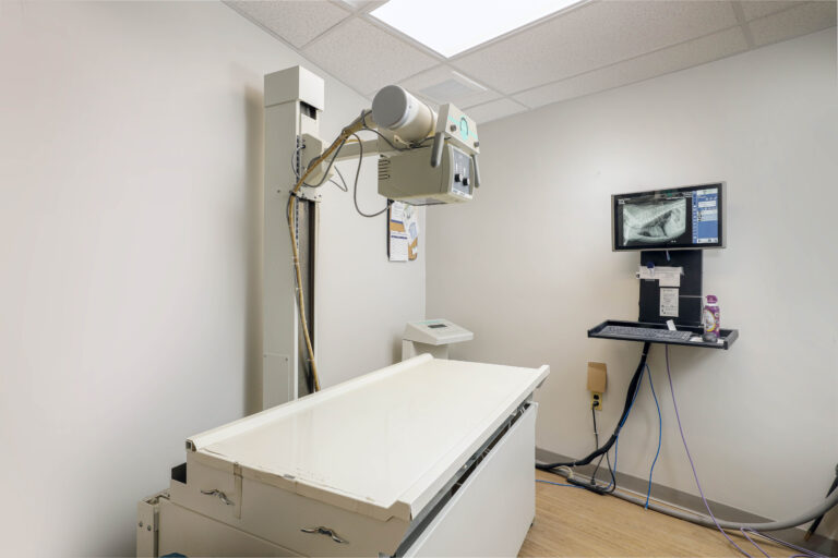 Veterinary X-ray machine with a table and a computer monitor displaying an animal radiograph.