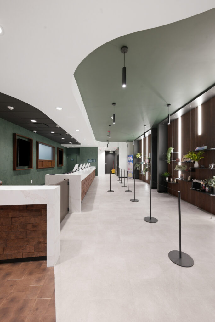 A modern office reception area with a long white service counter, stanchions for a queue, and wall-mounted shelving with plants and decor.