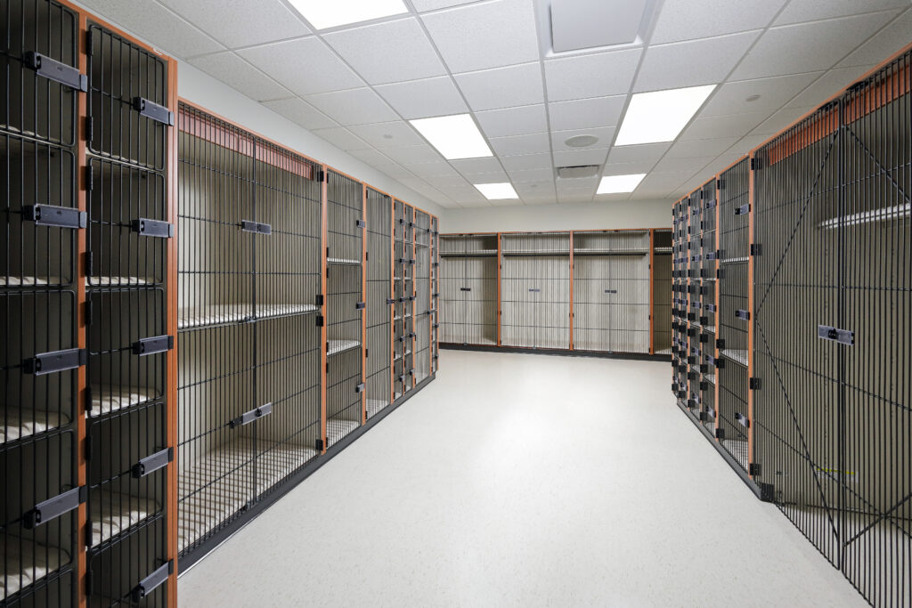 Rows of wire-mesh storage lockers lining both sides of an institutional hallway.